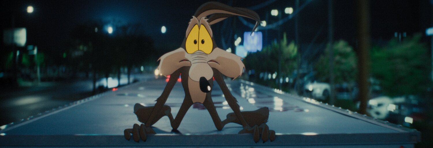 Coyote contra Acme