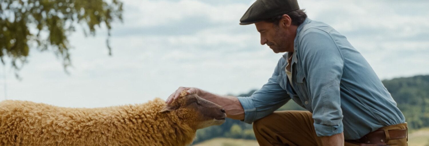 Las ovejas detectives