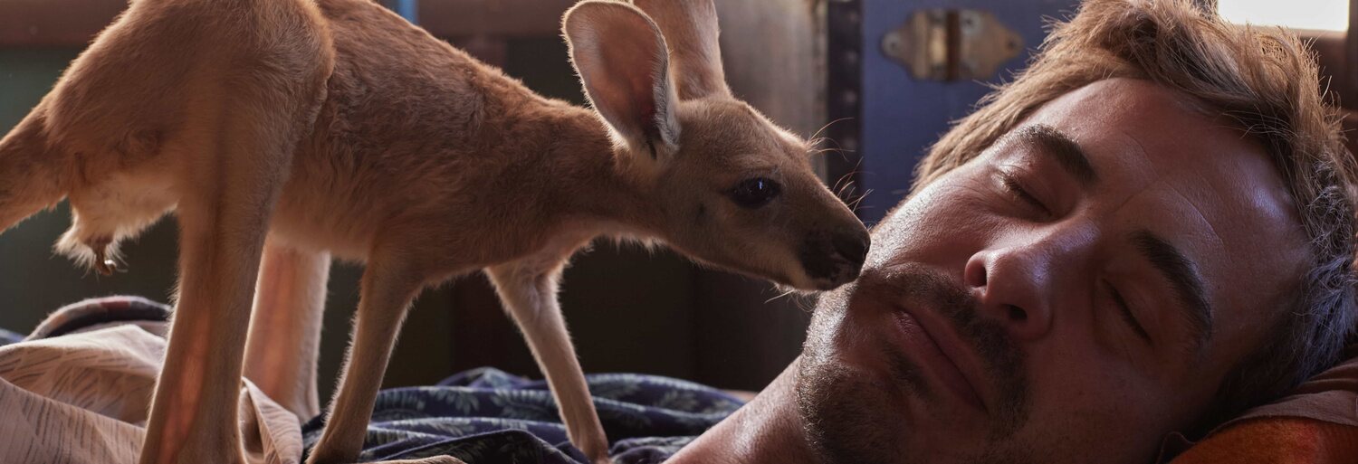 Kangaroo: Una aventura en Australia