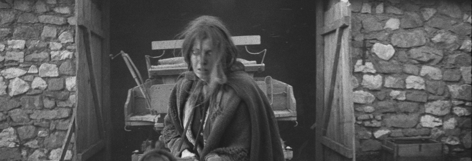 The Turin horse