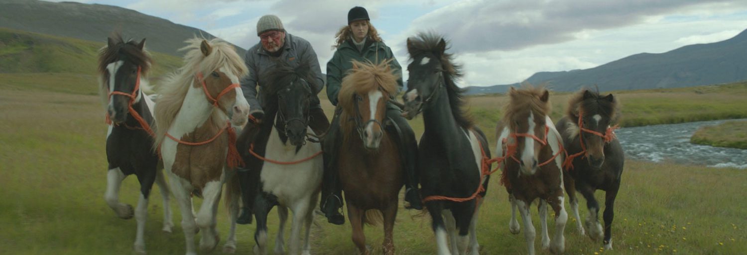 Historias de caballos y hombres