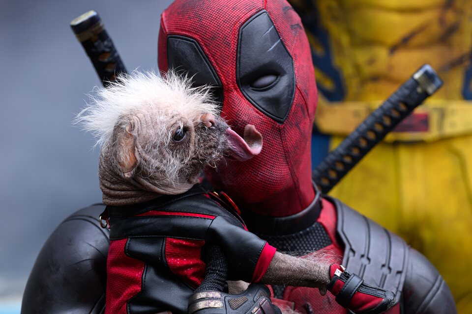Amor eterno al Mercenario Bocazas (\'Deadpool y Lobezno\')