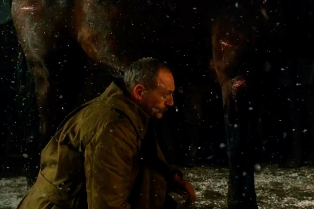 'War Horse'