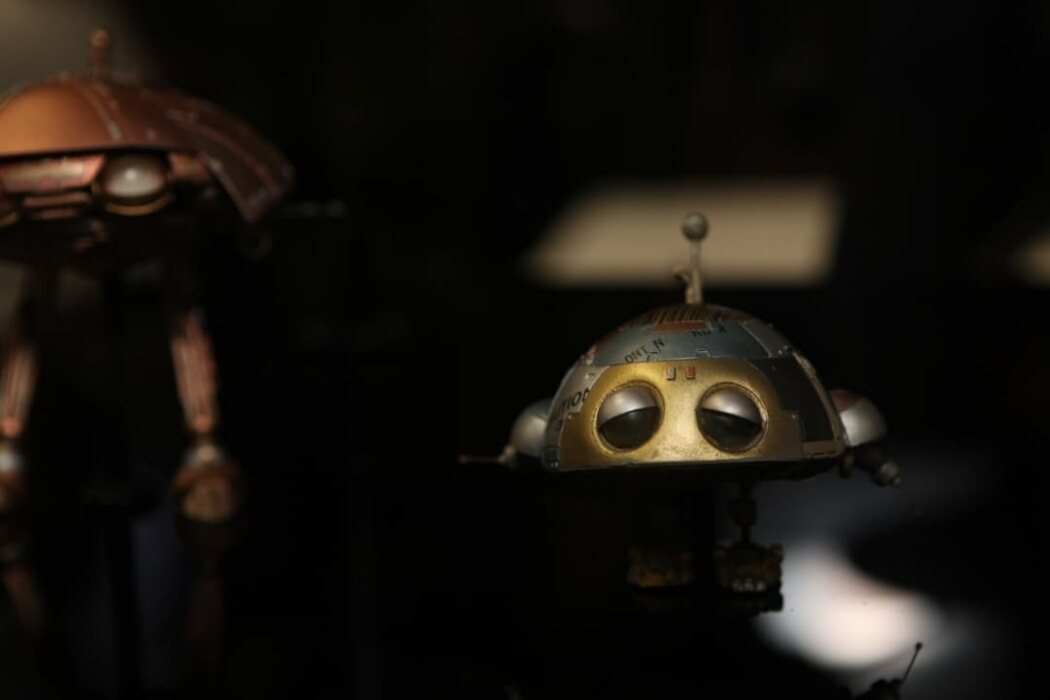 'Nuestros maravillosos aliados'